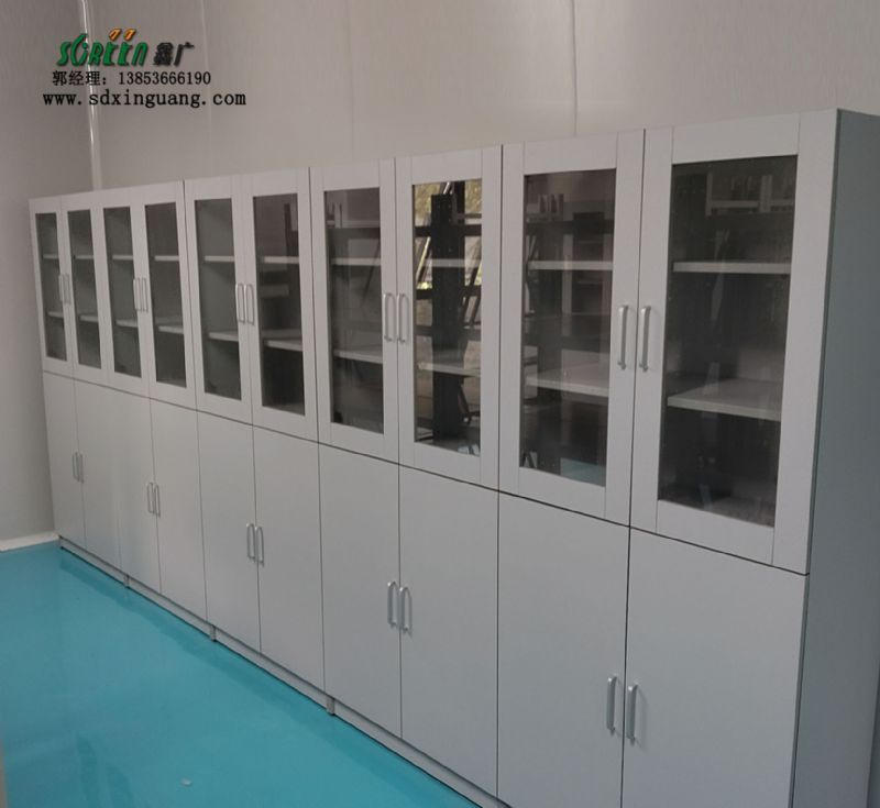 山東實(shí)驗(yàn)臺廠家耐酸堿藥品柜實(shí)驗(yàn)室試劑柜供應(yīng)
